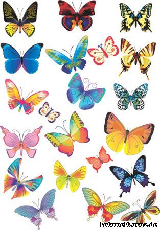 Clipart - Schöne Schmetterlinge
